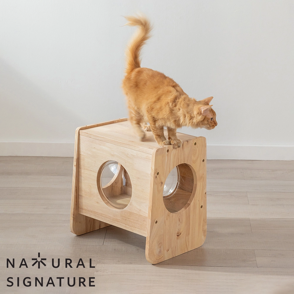 2026年新作]キャットキューブ NATURAL SIGNATURE 0194 | LIVINS MEET